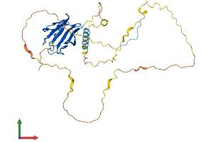 AlphaFold protein structure predicition of Human Recombinant PPP1R8 Protein, UniprotID Q12972