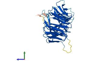 AlphaFold protein structure predicition of Human Recombinant MLST8 Protein, UniprotID Q9BVC4