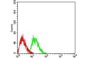 Flow cytometric analysis of Jurkat cells using CD223 mouse mAb (green) and negative control (red).