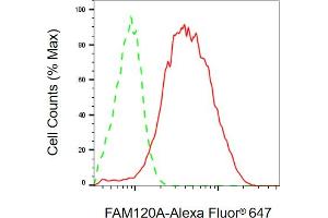 Flow cytometric analysis of FAM120A expression in HepG2 cells using FAM120A antibody (ABIN7798558), 1:2,000). (FAM120A anticorps)