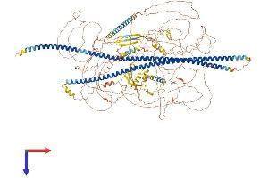 AlphaFold protein structure predicition of Mouse Recombinant Synm Protein, UniprotID Q70IV5