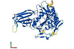 AlphaFold protein structure predicition of Mouse Recombinant Baat Protein, UniprotID Q91X34
