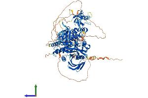 AlphaFold protein structure predicition of Mouse Recombinant Ptpn4 Protein, UniprotID Q9WU22