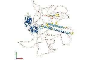 AlphaFold protein structure predicition of Mouse Recombinant Akap17b Protein, UniprotID A2A3V1
