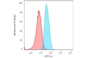 Flow Cytometric Analysis of T98G cells using GAD1 (GAD67) Mouse Monoclonal Antibody (GAD1/2563) followed by Goat anti-Mouse IgG-CF488 (Blue); Isotype Control (Red).