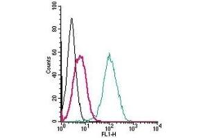 Cell surface detection of S1PR5 by indirect flow cytometry in live intact human THP-1 monocytic leukemia cells:  (black line) Cells.