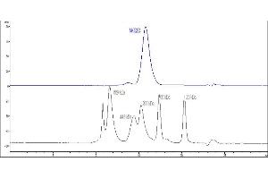The purity of Human NKG2D, Fc Tag (Hied) (ABIN6933647,ABIN6938851) was greater than 90 % as determined by .