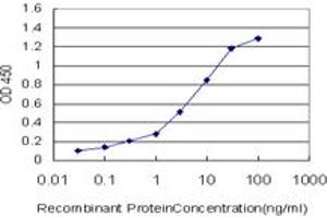 Detection limit for recombinant GST tagged OXSR1 is approximately 0.