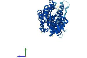 AlphaFold protein structure predicition of Human Recombinant ALG1 Protein, UniprotID Q9BT22