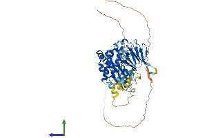 AlphaFold protein structure predicition of Mouse Recombinant Chek2 Protein, UniprotID Q9Z265