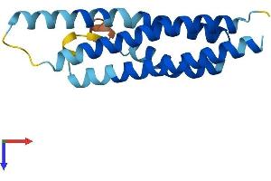 AlphaFold protein structure predicition of Mouse Recombinant Cnih3 Protein, UniprotID Q6ZWS4