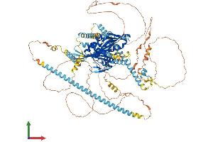AlphaFold protein structure predicition of Mouse Recombinant Kif17 Protein, UniprotID Q99PW8
