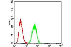 Flow cytometric analysis of A549 cells using CTNNB1 mouse mAb (green) and negative control (red).