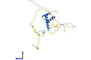 AlphaFold protein structure predicition of Human Recombinant HHEX Protein, UniprotID Q03014