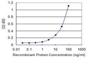 Detection limit for recombinant GST tagged MAFA is 1 ng/ml as a capture antibody. (MAFA anticorps  (AA 222-308))