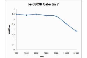 anti-Galectin 7 (LGALS7) (AA 31-100) antibody