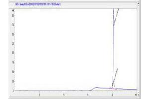 IgG3 peptide (Ovalbumin)