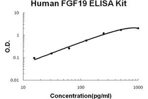 Human FGF19 PicoKine ELISA Kit standard curve (FGF19 Kit ELISA)
