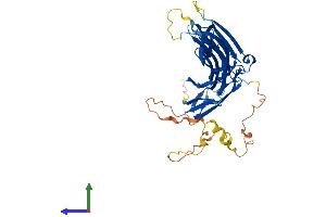 AlphaFold protein structure predicition of Mouse Recombinant Arrdc4 Protein, UniprotID A0A0B4J1F4