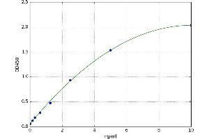 phosphoglycerate Mutase 2 (Muscle) (PGAM2) ELISA Kit