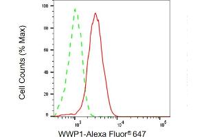 Flow cytometric analysis of WWP1 expression in HepG2 cells using WWP1 antibody (ABIN7800869), 1:2,000).