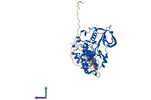 AlphaFold protein structure predicition of Human Recombinant CSNK2A1 Protein, UniprotID P68400