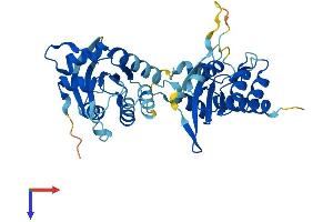 AlphaFold protein structure predicition of Human Recombinant APOBEC3B Protein, UniprotID Q9UH17