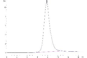 The purity of Mouse IL-18BP is greater than 95 % as determined by SEC-HPLC.