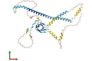 AlphaFold protein structure predicition of Human Recombinant PEX13 Protein, UniprotID Q92968