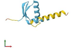 AlphaFold protein structure predicition of Human Recombinant GTF2H5 Protein, UniprotID Q6ZYL4