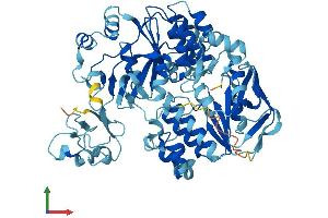 AlphaFold protein structure predicition of Human Recombinant ABCE1 Protein, UniprotID P61221