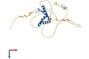 AlphaFold protein structure predicition of Mouse Recombinant Sox12 Protein, UniprotID Q04890