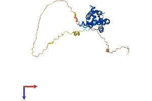 AlphaFold protein structure predicition of Mouse Recombinant Morf4l2 Protein, UniprotID Q9R0Q4
