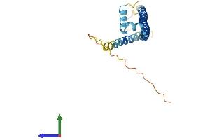AlphaFold protein structure predicition of Mouse Recombinant Atf3 Protein, UniprotID Q60765
