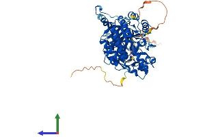 AlphaFold protein structure predicition of Human Recombinant DPYSL4 Protein, UniprotID O14531