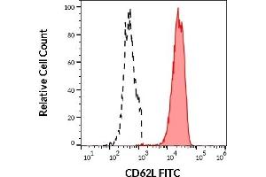 Separation of human neutrophil granulocytes (red-filled) from CD62L negative lymphocytes (black-dashed) in flow cytometry analysis (surface staining) of human peripheral whole blood stained using anti-human CD62L (DREG56) FITC antibody (20 μL reagent / 100 μL of peripheral whole blood). (L-Selectin anticorps  (FITC))