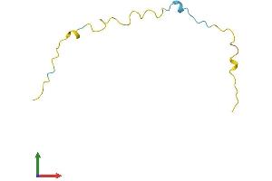 AlphaFold protein structure predicition of Human Recombinant PKIB Protein, UniprotID Q9C010