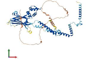 AlphaFold protein structure predicition of Human Recombinant SMARCD1 Protein, UniprotID Q96GM5