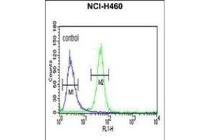 AKT2 Antibody (ABIN652284 and ABIN2841195) flow cytometric analysis of NCI- cells (right histogram) compared to a negative control cell (left histogram).