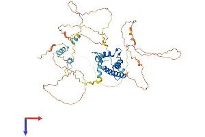 AlphaFold protein structure predicition of Mouse Recombinant Cenpt Protein, UniprotID Q3TJM4