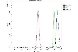 Flow Cytometry analysis of Daudi cells using anti-UBC12/UBE2M antibody (ABIN7600885). (UBE2M anticorps  (AA 25-154))