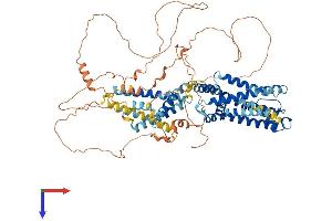 AlphaFold protein structure predicition of Mouse Recombinant Kcnq2 Protein, UniprotID Q9Z351