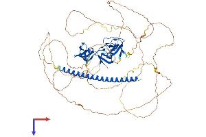 AlphaFold protein structure predicition of Mouse Recombinant Sh3kbp1 Protein, UniprotID Q8R550