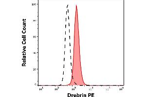 Separation of REH cells stained using anti-human Drebrin (DBN-N-03) PE antibody (10 μL reagent per million cells in 100 μL of cell suspension, red-filled) from REH cells stained using mouse IgG1 isotype control (MOPC-21) PE antibody (concentration in sample 5 μg/mL, same as Drebrin PE concentration, black-dashed) in flow cytometry analysis (intracellular staining) of REH cell suspension.