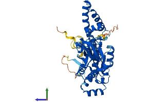 AlphaFold protein structure predicition of Mouse Recombinant Ola1 Protein, UniprotID Q9CZ30