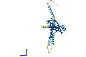 AlphaFold protein structure predicition of Mouse Recombinant Cenpo Protein, UniprotID Q8K015