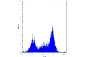 Pak4 antibody flow cytometric analysis of Neuro-2a cells.