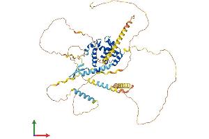 AlphaFold protein structure predicition of Mouse Recombinant Arid3a Protein, UniprotID Q62431