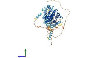 AlphaFold protein structure predicition of Mouse Recombinant Slc34a1 Protein, UniprotID Q60825
