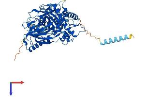 AlphaFold protein structure predicition of Mouse Recombinant Gk2 Protein, UniprotID Q9WU65